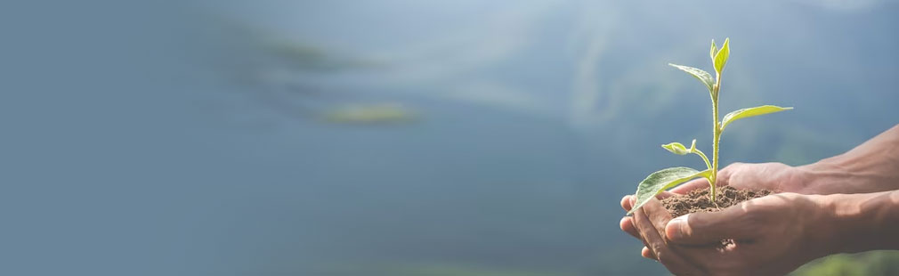 尊龙凯时人生就是搏人